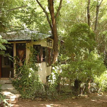 Momchailai Forest Retreat Канчанабури Экстерьер фото