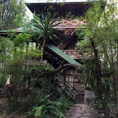 Momchailai Forest Retreat Канчанабури Экстерьер фото