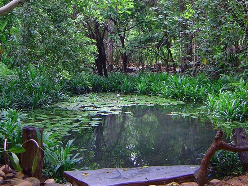 Momchailai Forest Retreat Канчанабури Экстерьер фото